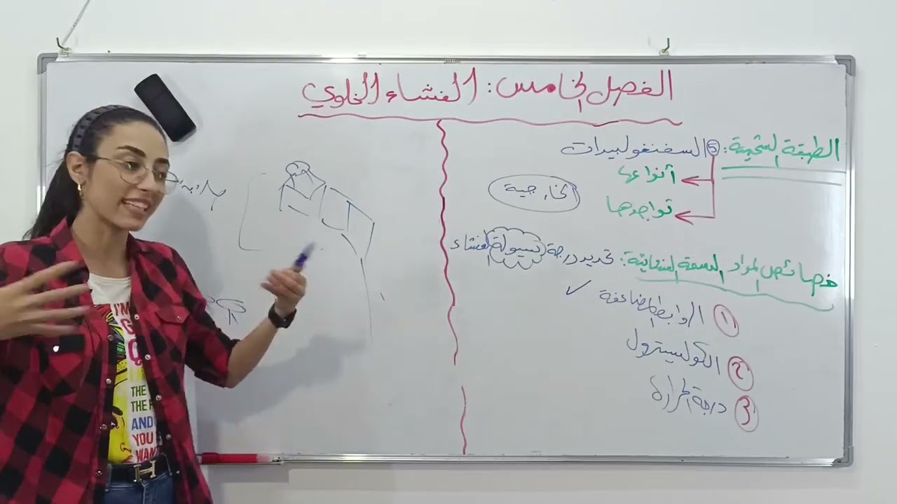 4) السفنغوليبيدات، وخصائص المواد الدسمة الغشائية