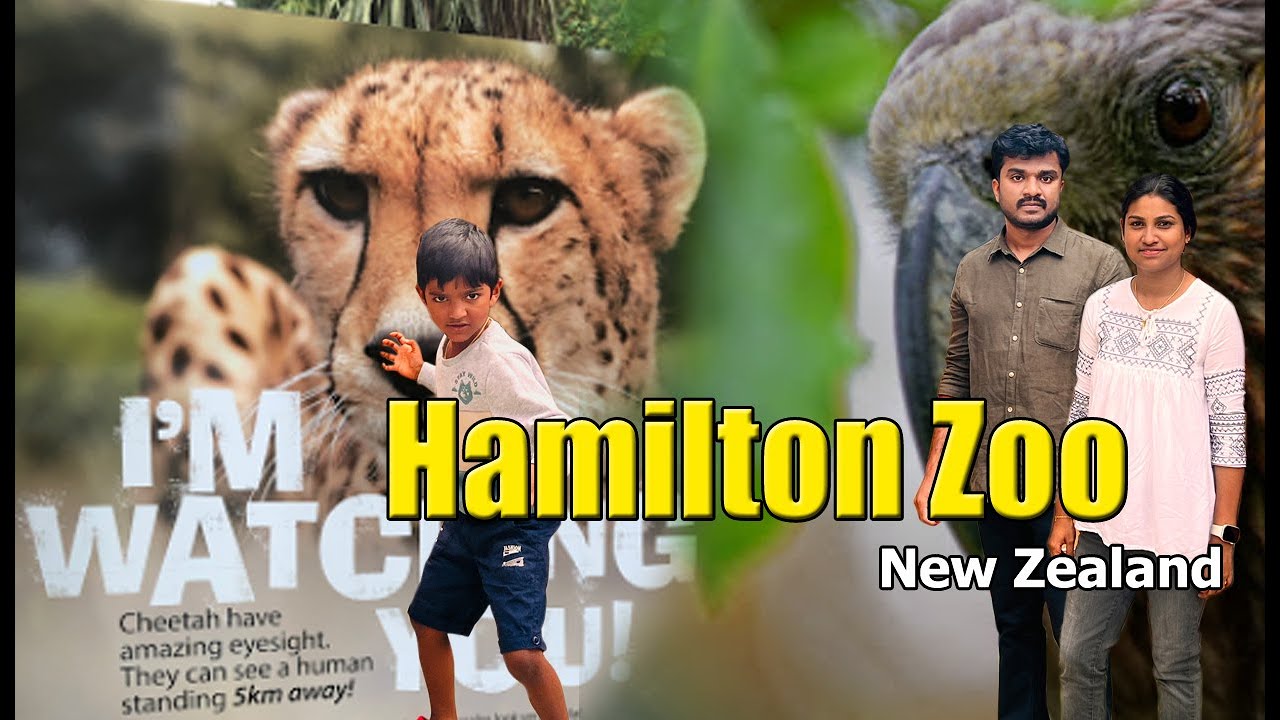 Hamilton Zoo New Zealand #malayalamvlog #hamilton #zoo