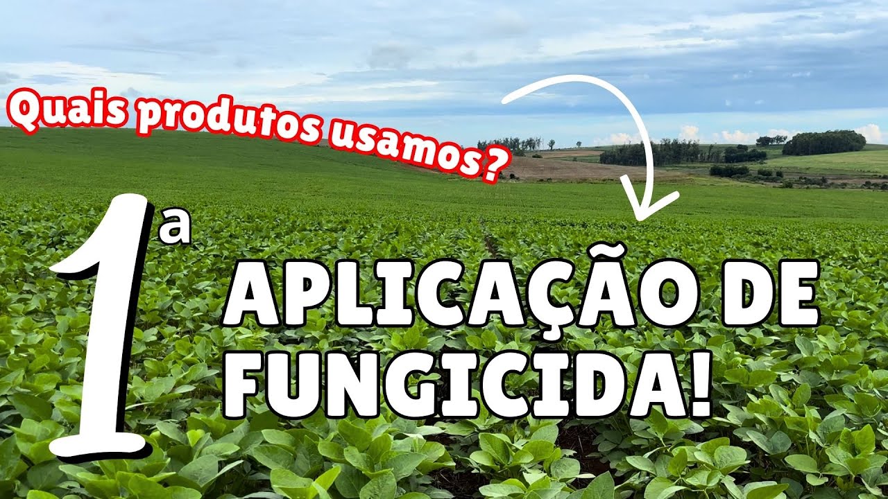 PRIMEIRA DE FUNGICIDA