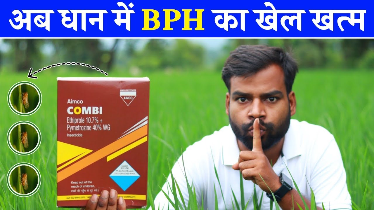 Brown Plant Hopper (BPH) केलिए सिर्फ एक दबा | धान में भूरा माहू कैसे कंट्रोल करे ?