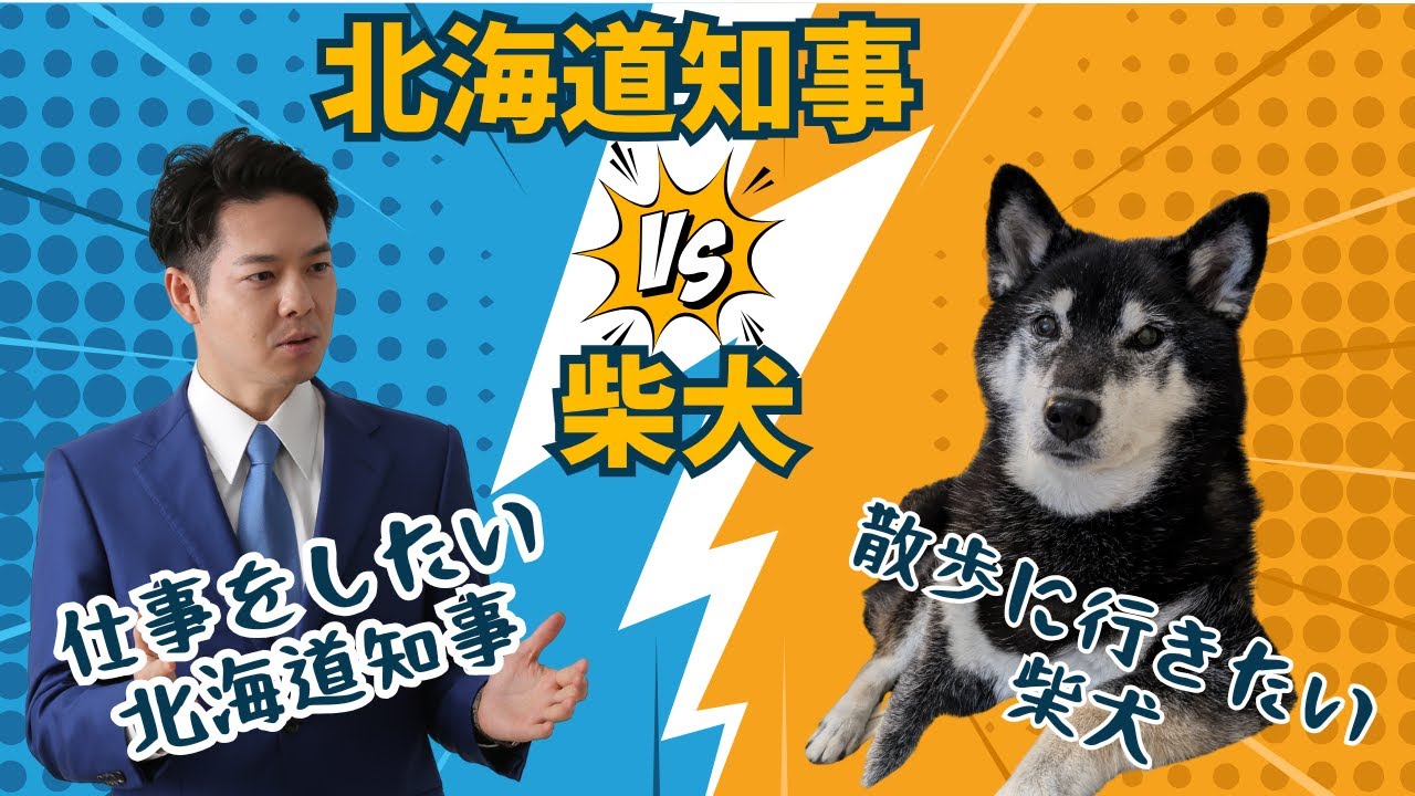 【北海道知事と柴犬】どうしても散歩に行きたい柴犬