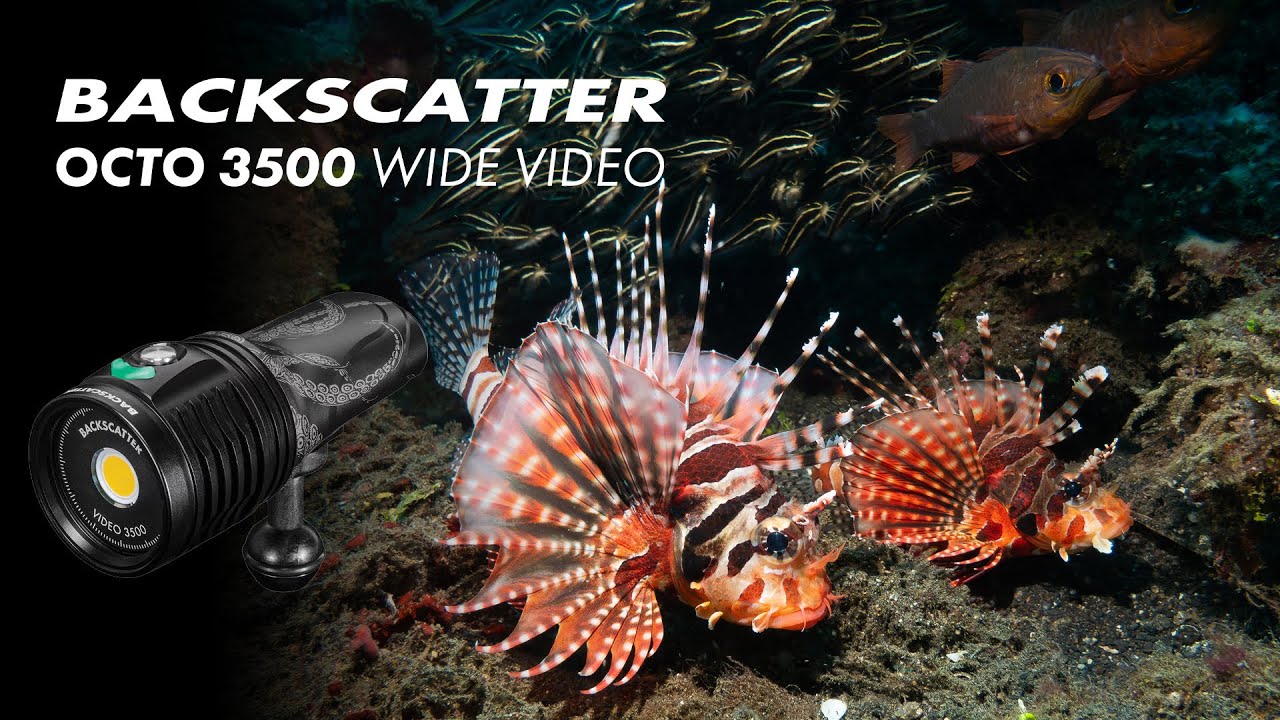 Bright, Bold, & Ready For Action - The Backscatter Octo Wide 3500 Wide Video Light