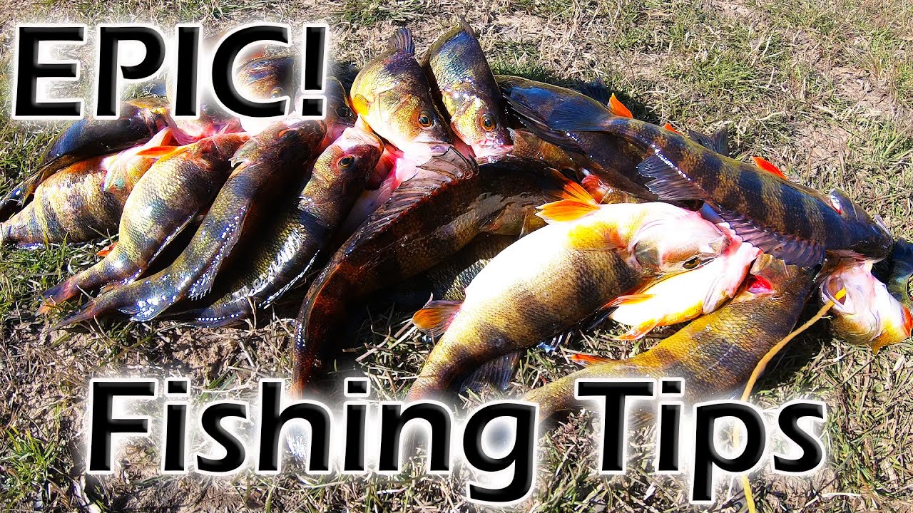 SLAYING Yellow Perch, GAME WARDENS Show Up, 3-Man Limit of Yellow Perch and Perch Fishing Tips!