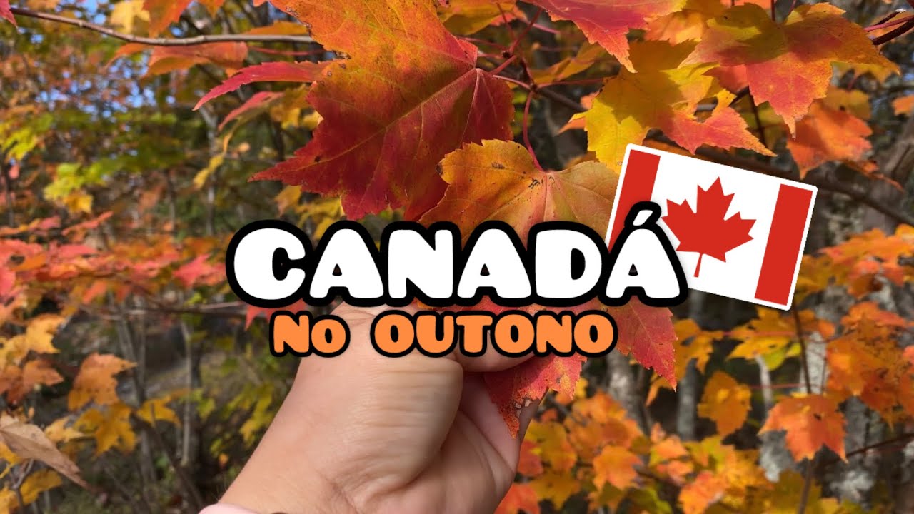 QUÉBEC no OUTONO| as cores mais lindas do Outono 🍁