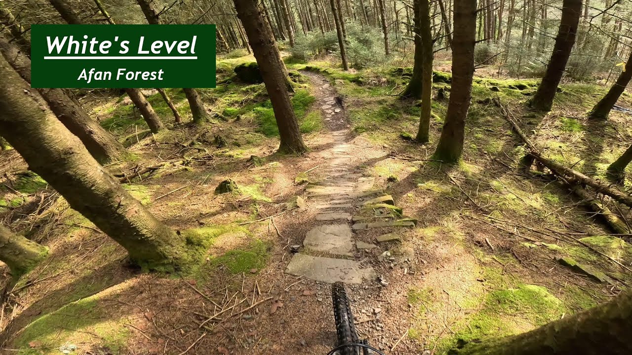 MTB White's Level | Afan Forest Wales