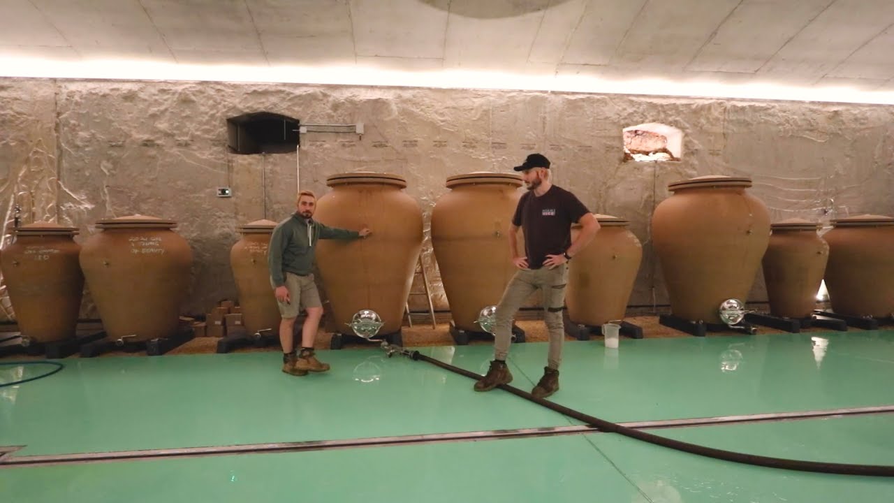 Grenache, Amphorae, Winery Dog - EP17