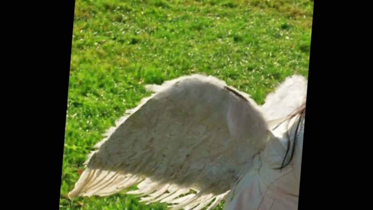 Adoptee to Birth Mother Song-