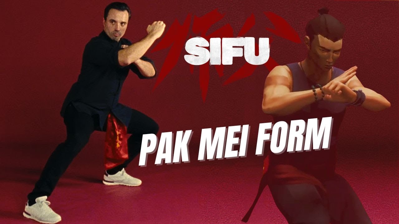 SIFU's Pak Mei Form: Lightning Hands