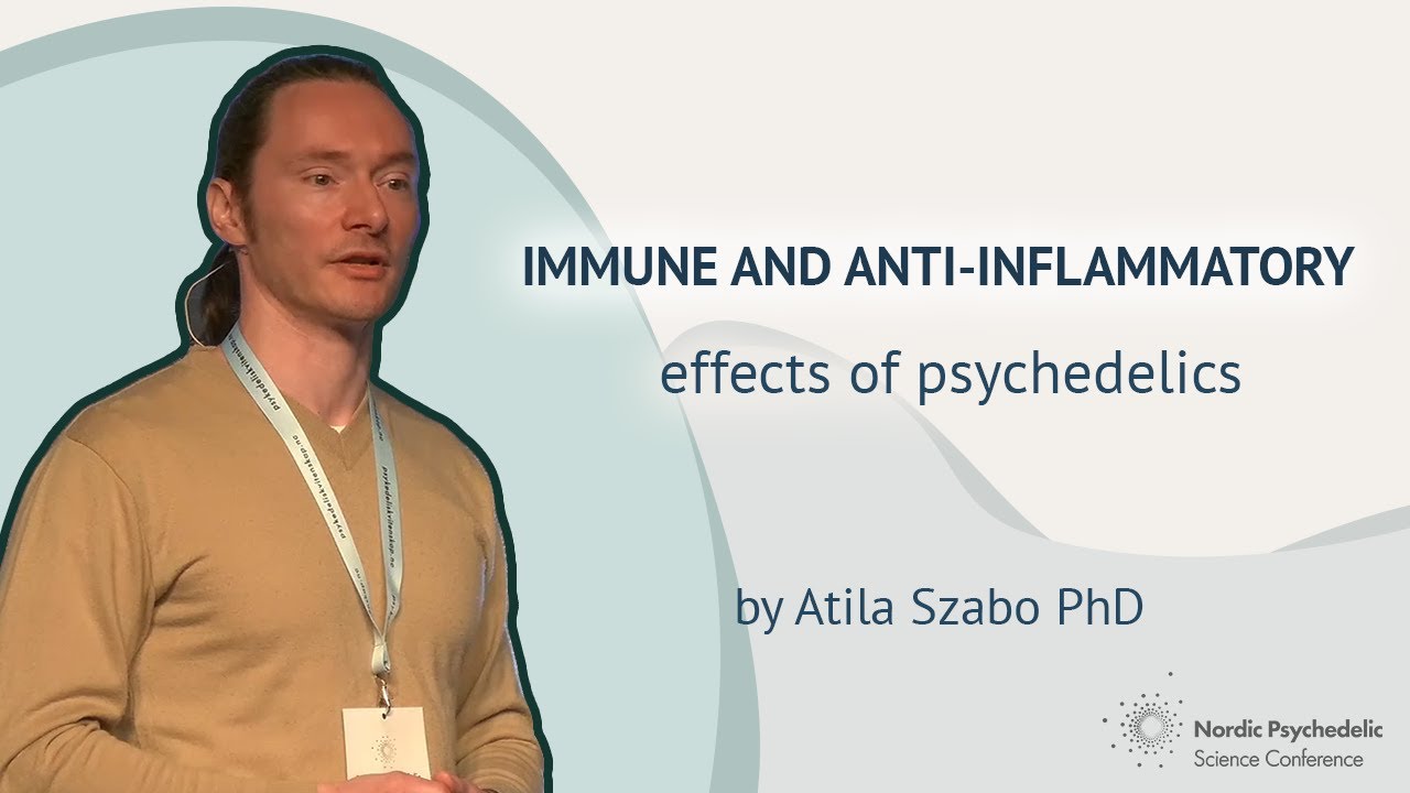 Immune and anti-inflammatory effects of psychedelics. Talk by Attila Szabo at NPSC 2022