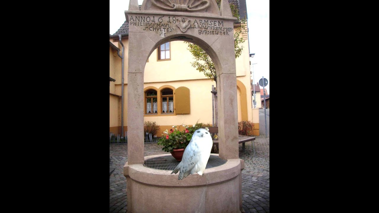 Roberts Geschichten Serie6 Rheinland Pfalz   Kreis Alzey Worms   von Rommersheim nach Armsheim