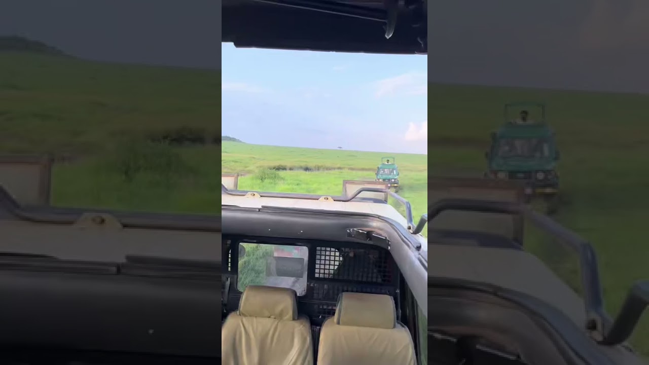 #maasaimara