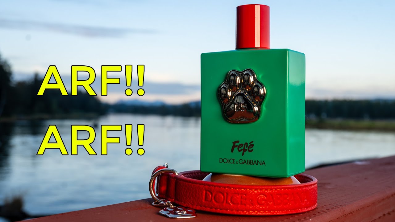 Fefe From Dolce & Gabbana Review  - A Pet-First Fragrance for Humans Too?