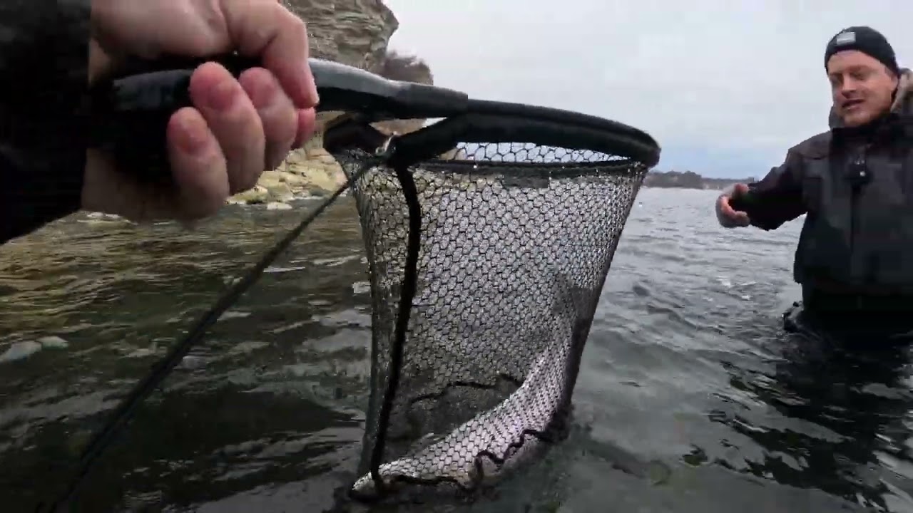 En god vinterdag med overspringer på kobberbassen #havørred #fishing #catchandrelease