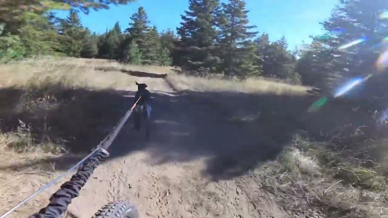 Bobber - Training Run