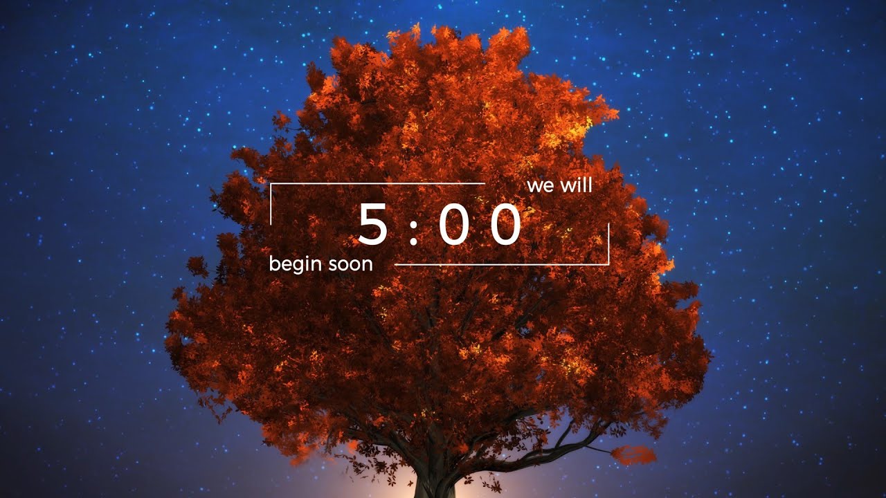 Autumn Tree at Night Silent Countdown - Free Download