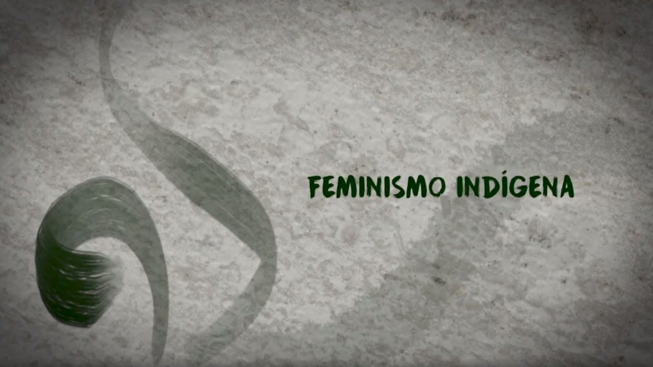 “Pueblos Indígenas, miradas y debates actuales” : Feminismo indígena