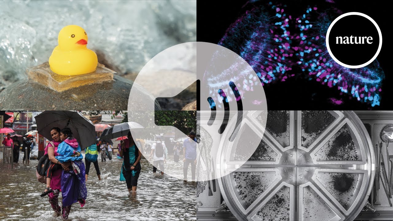Nature's News & Views roundup of 2025