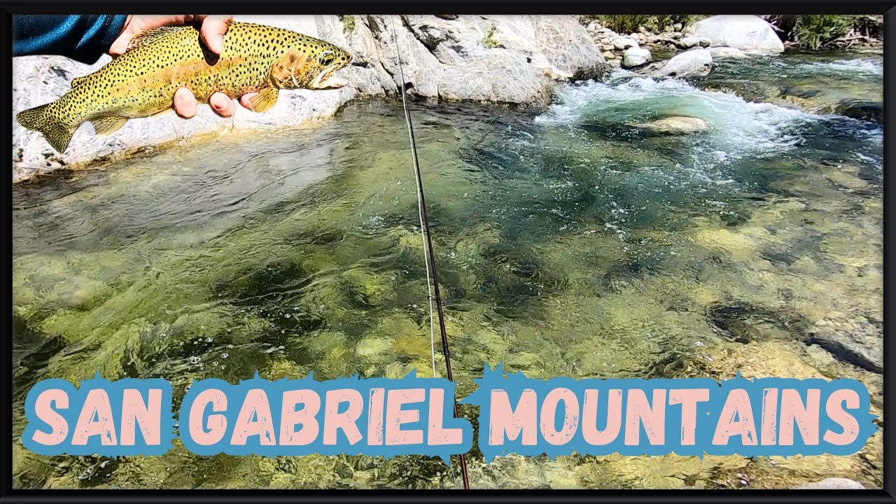 Fly Fishing San Gabriel Mountains for Wild Trout (Los Angeles County)