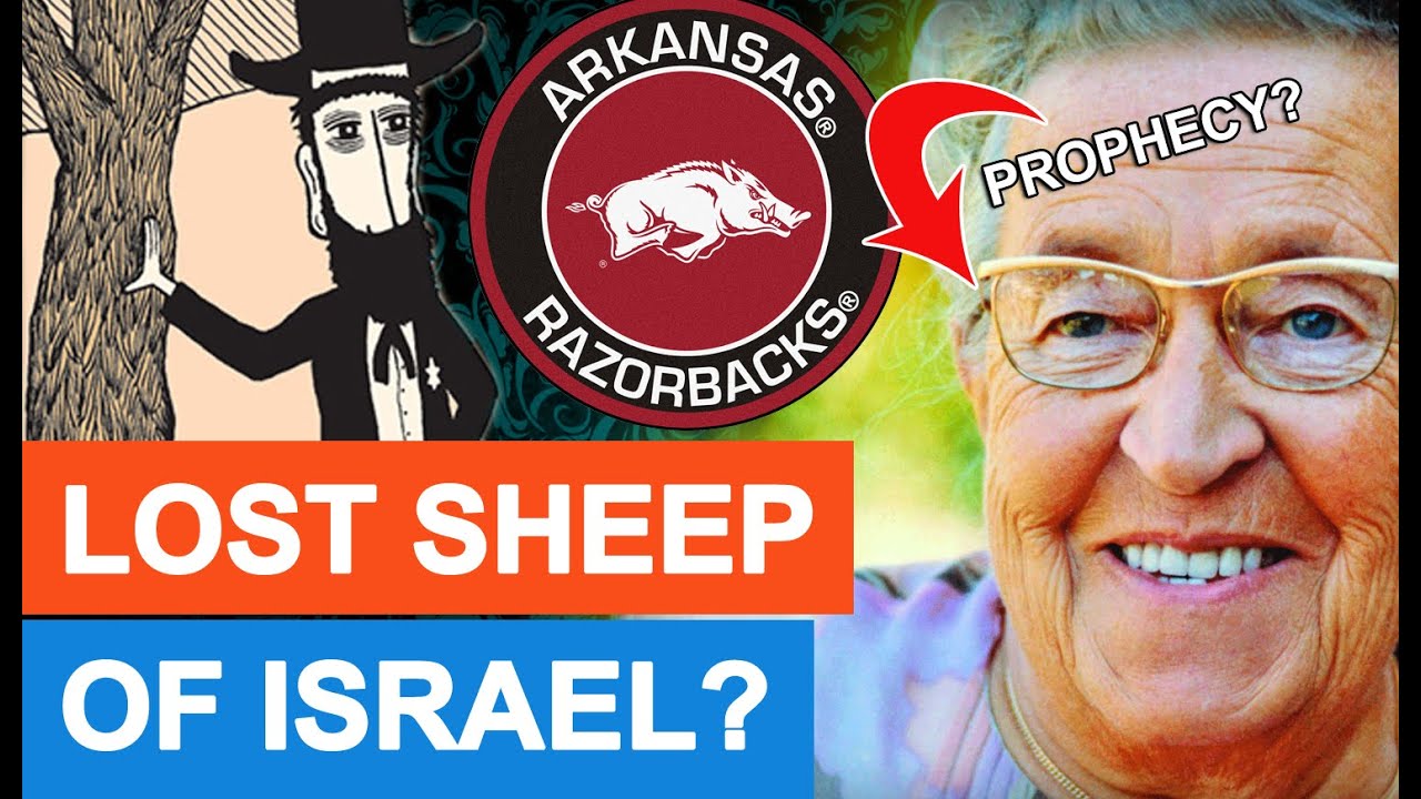 Lost Sheep Gathering In Many Places