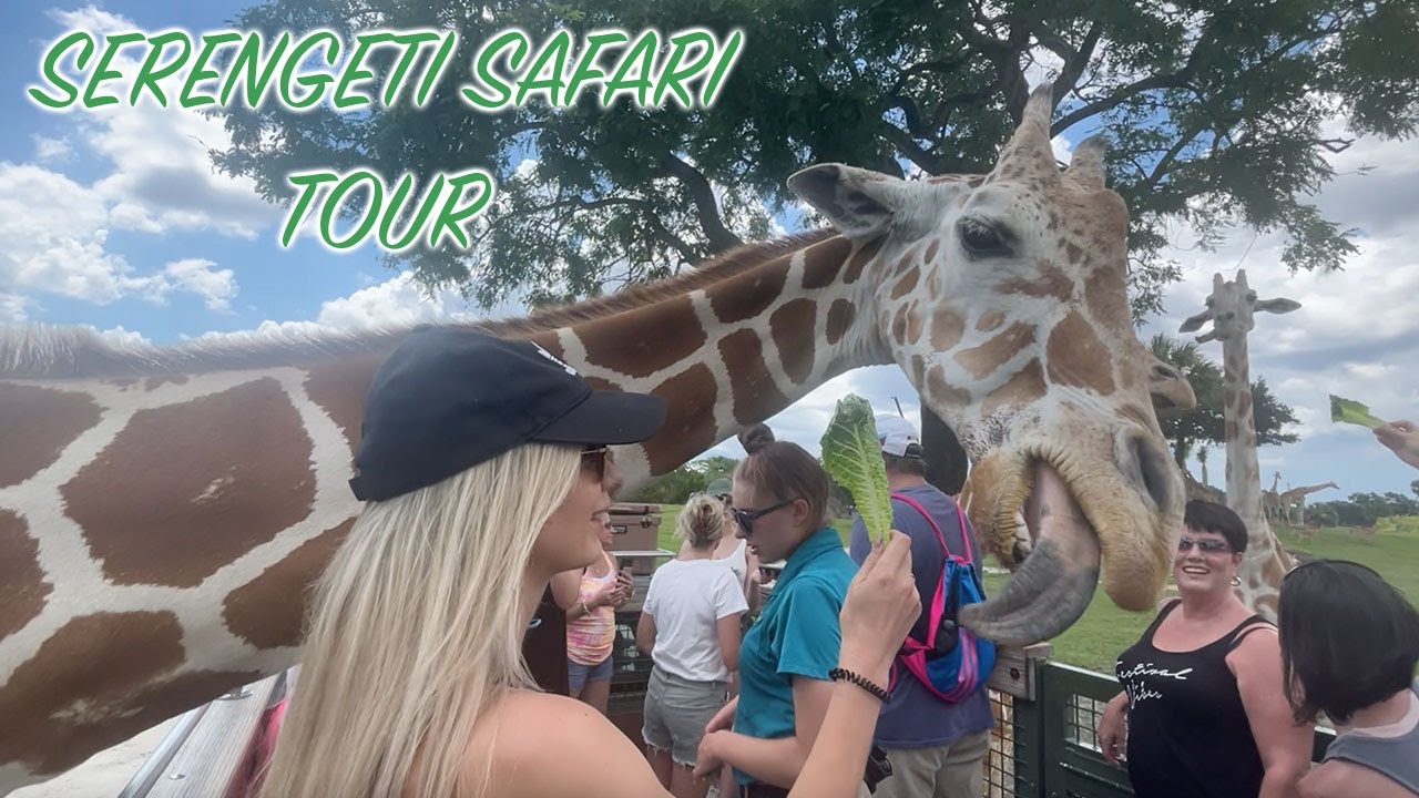 ПОЛНЫЙ ТУР-САФАРИ ПО СЕРЕНГЕТИ В BUSCH GARDENS TAMPA 🦒