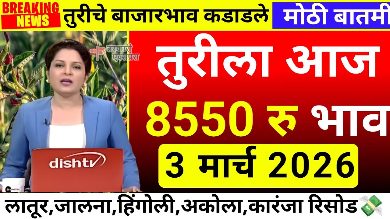 तुरीला आज सर्वाधिक 8550 रु भाव| tur bajar bhav akola|Tur bajar bhav jalana|tur bhav today
