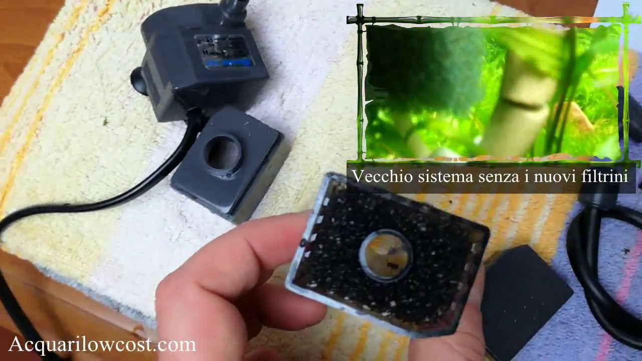 Filtro e co2 venturi - come diffonderla utilizzando un piccolo filtro