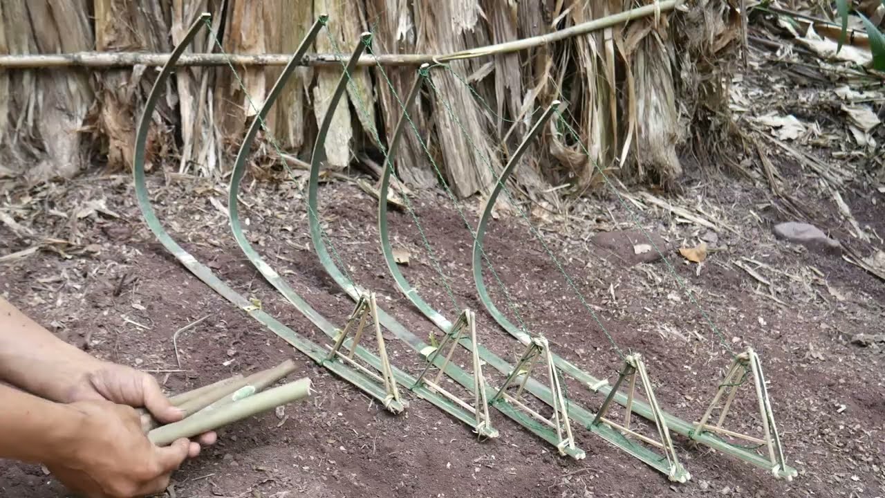 primitive method using bamboo to be looking for food in the jungle for survival episode 92