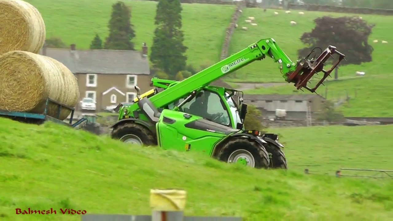 Carting Straw Bales - with Excited Cattle !
