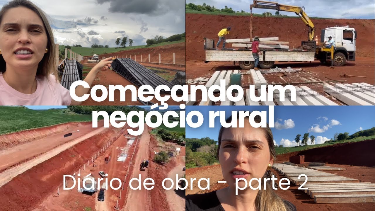 Como montar uma granja de frango de corte | Avanço da obra: alvenaria e cobertura (Parte 2)