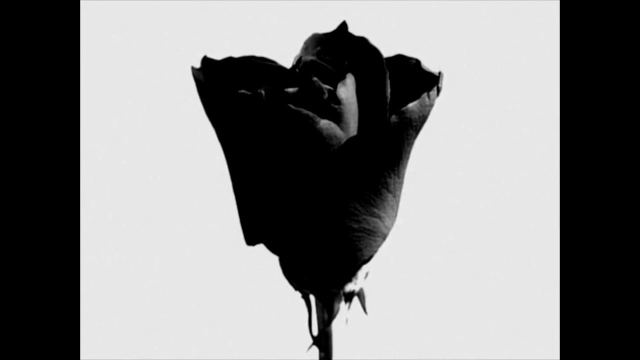 Depeche Mode - Personal Jesus (World Violation Tour Version)