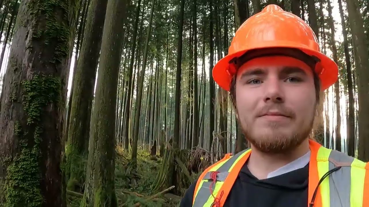 The Vedge Effect - BCIT 2nd Year Student Project