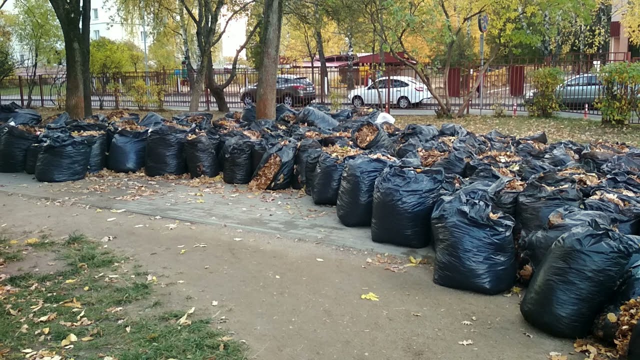 Какой мусоровоз забирает листья осенью?