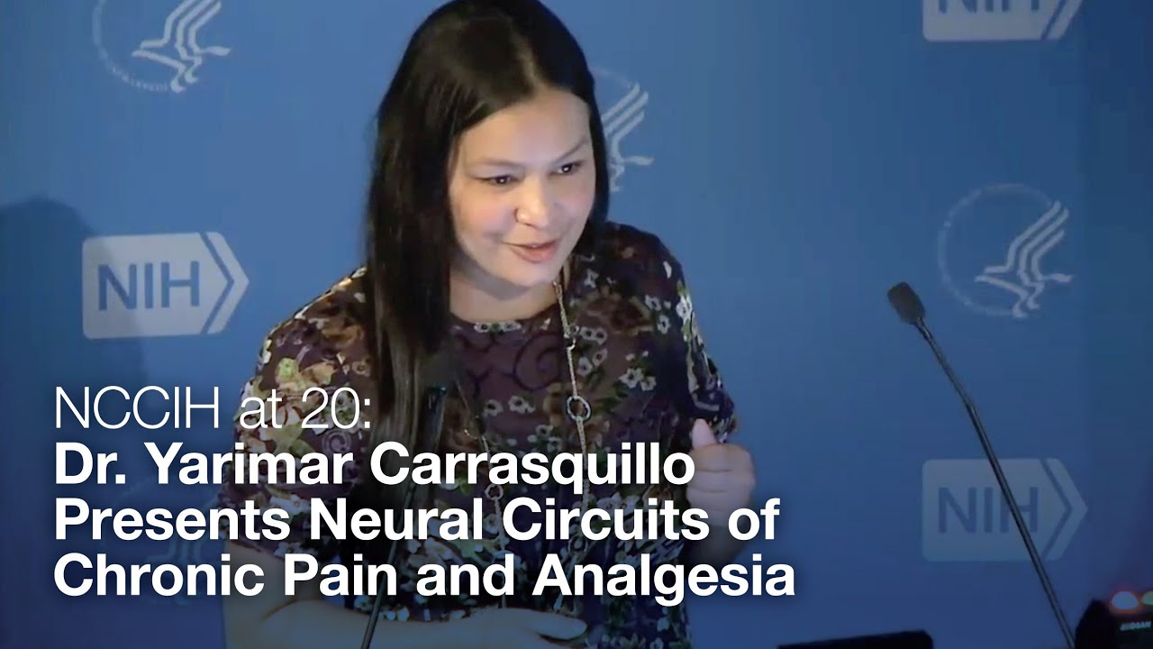 NCCIH at 20: Dr. Yarimar Carrasquillo Presents Neural Circuits of Chronic Pain and Analgesia