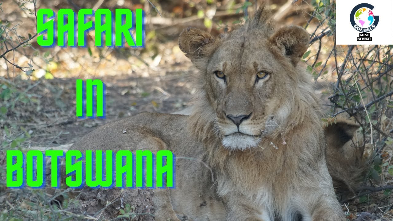 Chobe National Park, Botswana - Ep. 17