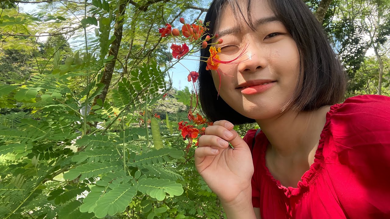 2023 JULY 싱가포르 🇸🇬