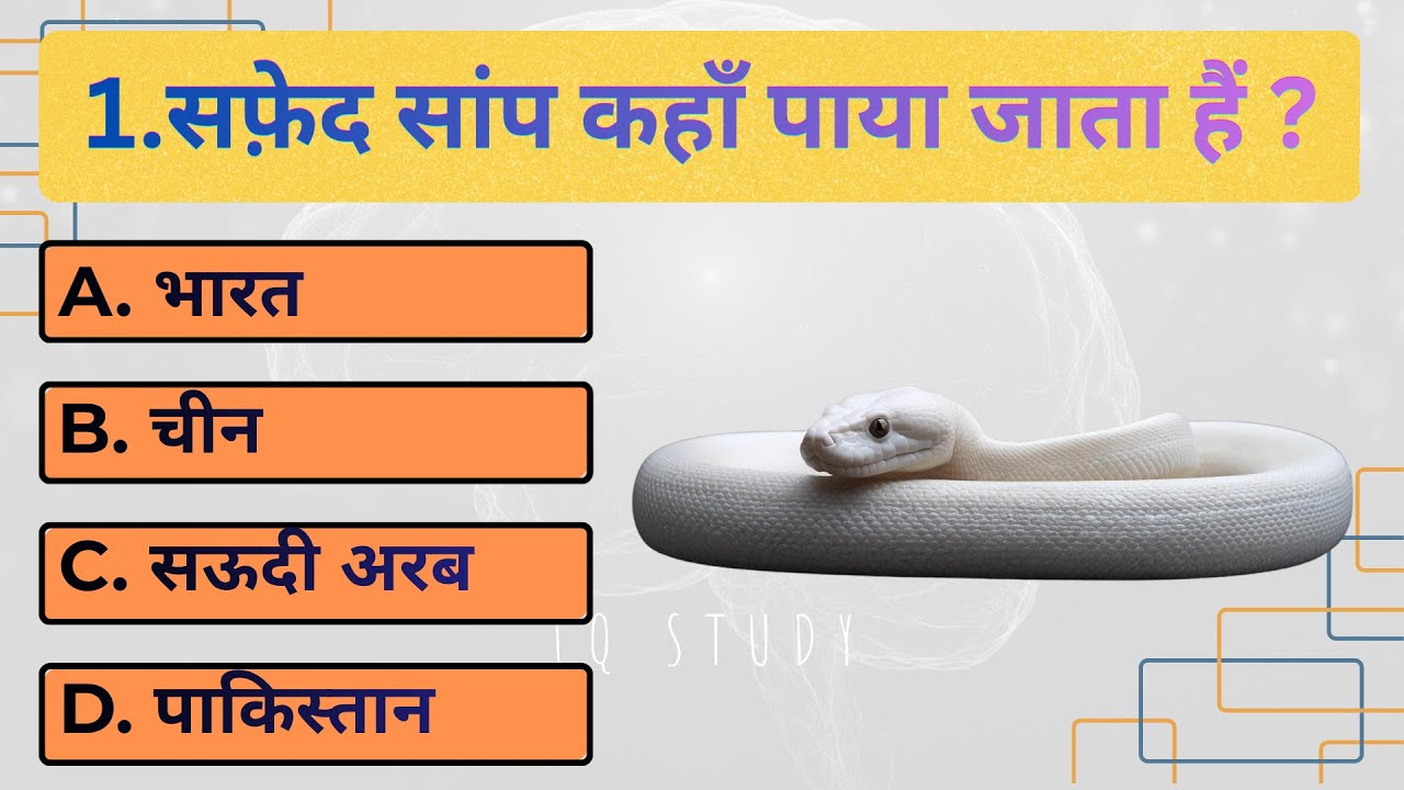 Top 20 Gk Question || GK Question Series || GK In Hindi || Genral Knowledge || GK Quiz || IQ STUDY