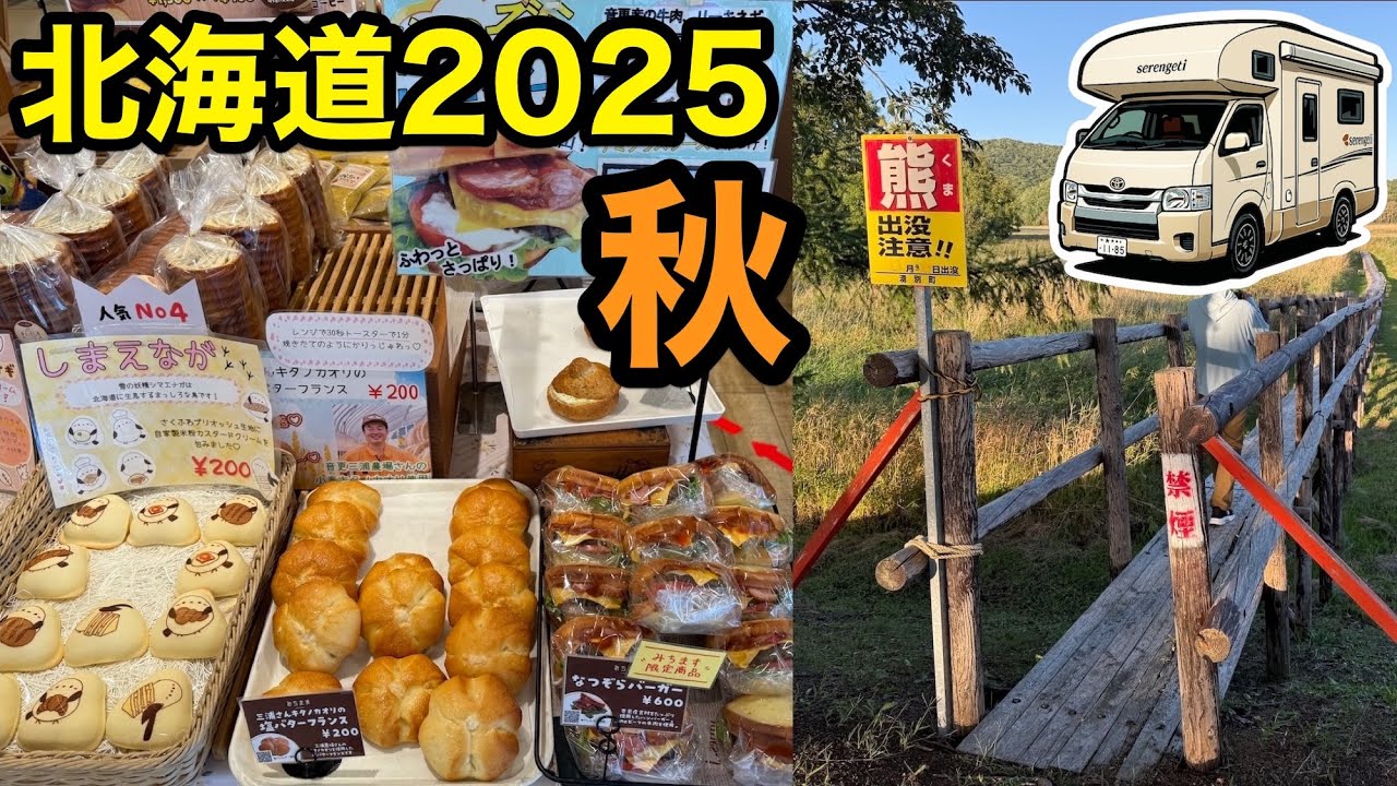 【車中泊】秋の北海道、念願のシマエナガピンズをゲット！サロマ湖畔の厚岸草(アッケシソウ=サンゴ草)は？[第246話]