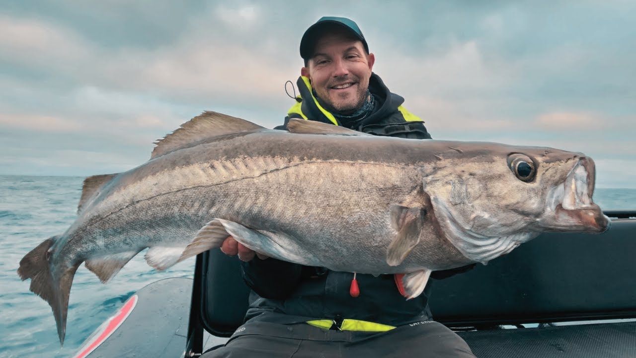 Test des nouvelles CANNES ILICIUM - les GROS POISSONS sont l&agrave; !