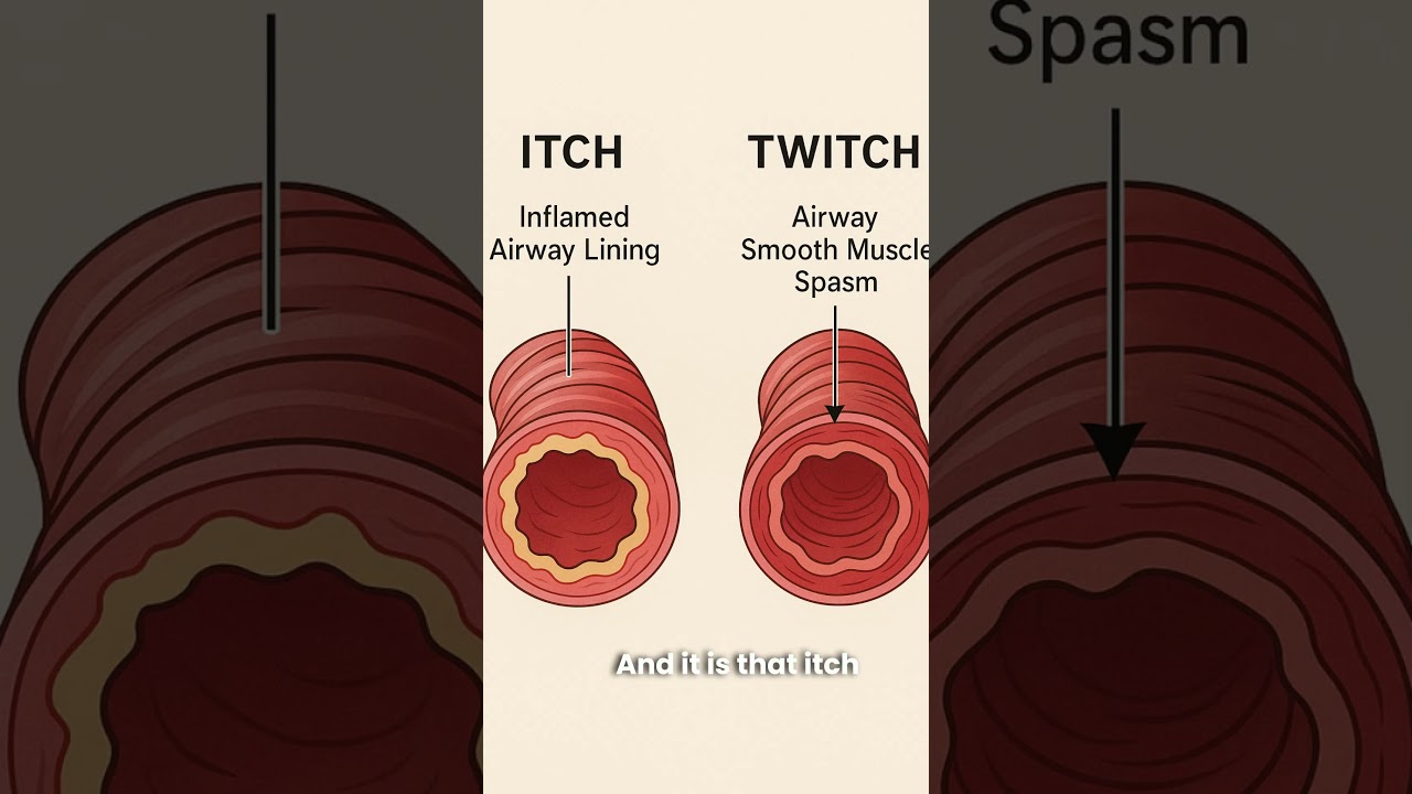 Are You Using the Wrong 😱 Inhaler for Your Asthma 🫁⁉️