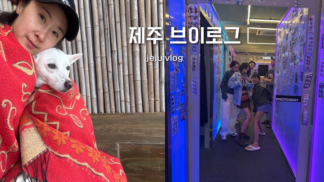 [VLOG]제주 일상 브이로그ㅣ함덕야외요가ㅣ오우너스ㅣ공상ㅣ정육면체ㅣ모알보알ㅣ카페다각ㅣ김녕빵집