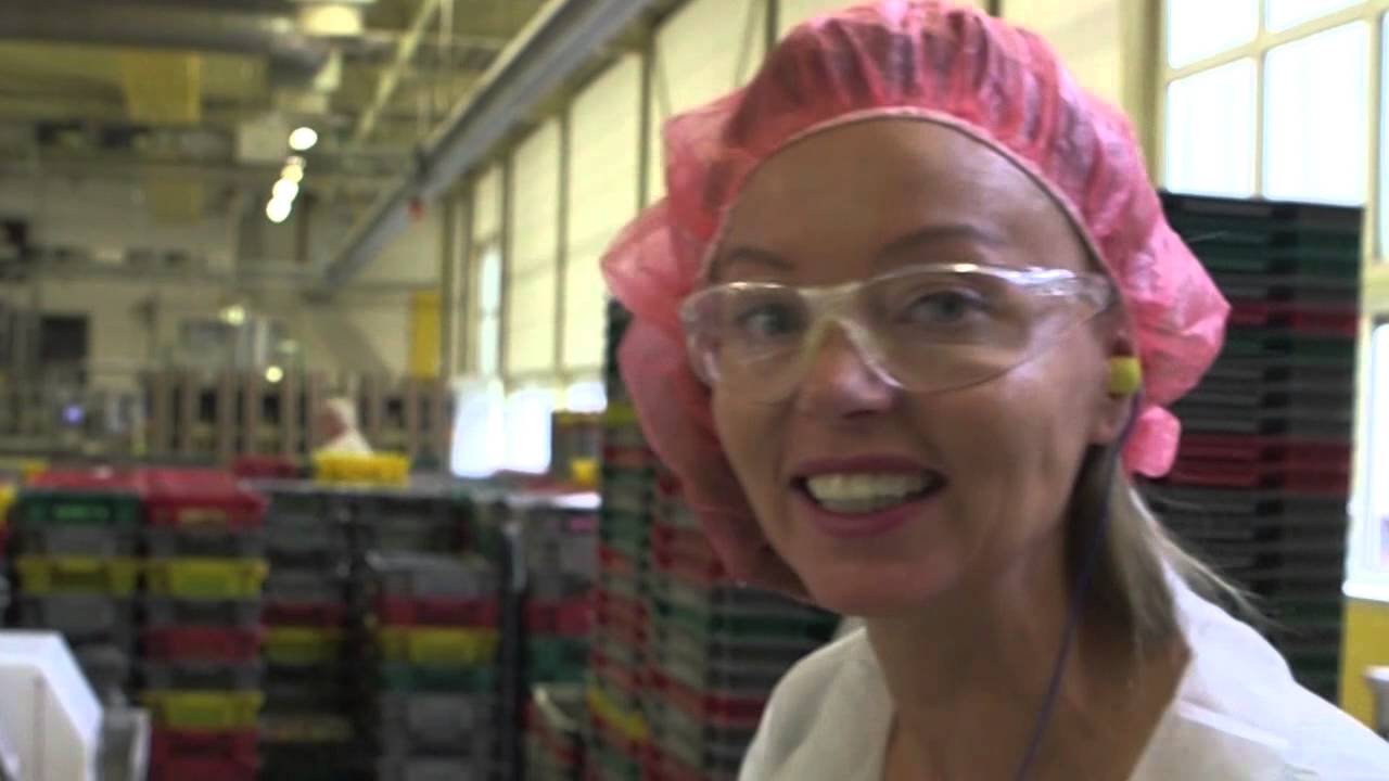 OHIMP bezoekt de Fruittellafabriek