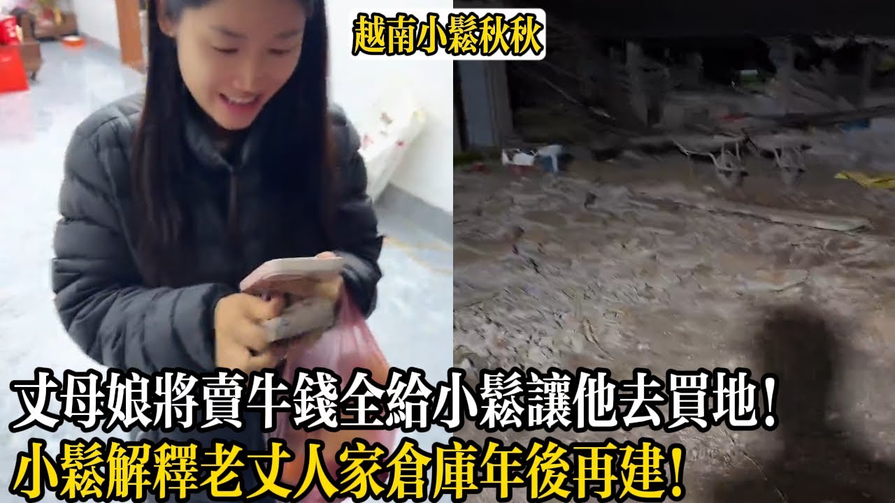 丈母娘將賣牛錢全給小松讓他去買地！小松解釋老丈人家倉庫年後再建！【小松秋秋生活日常】