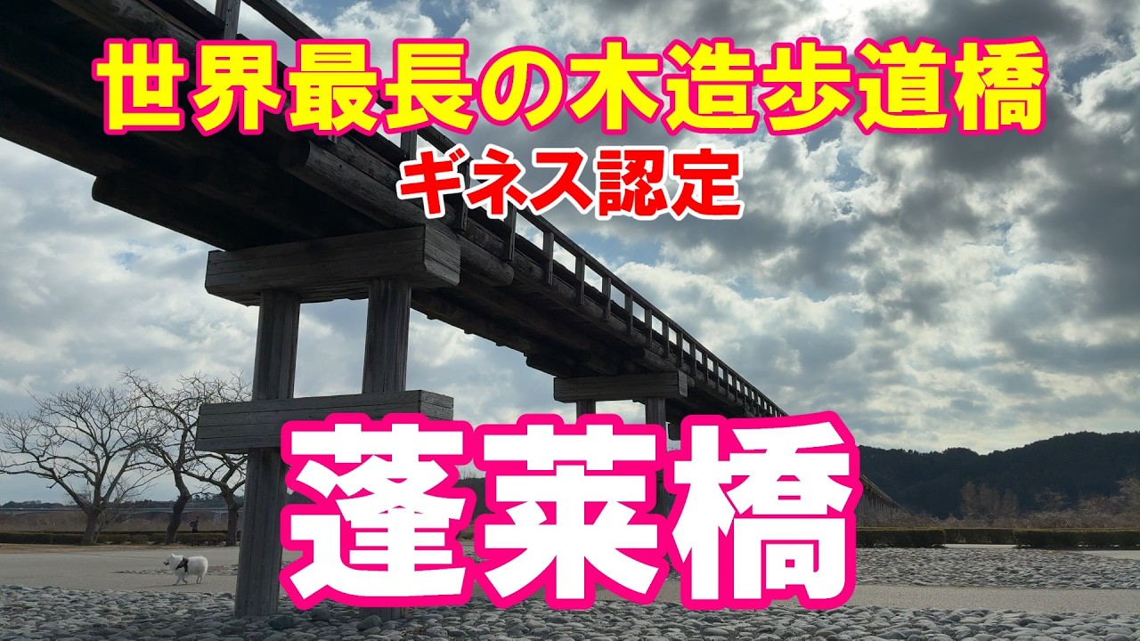 【世界一長い木造橋】静岡県島田市、「蓬莱橋」
