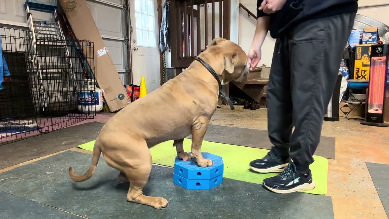 Tessa fitness learning how to squat 