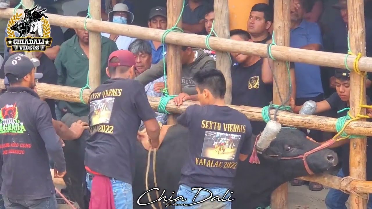 JARIPEO RANCHERO EN VILLA HIDALGO YALALAG EN HONOR A SANTIAGO MAYOR APOSTOL 31 DE JULIO 2022