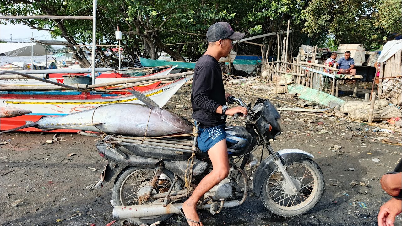 Nakaka bilib ang batang ito humohuli ng malaking isda #yellowpin Tuna