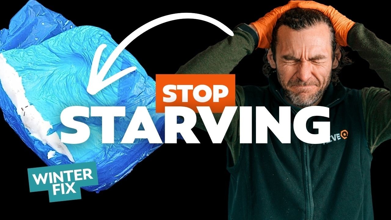 Stop Bees Starving – How To Add Emergency Fondant Directly to the Cluster