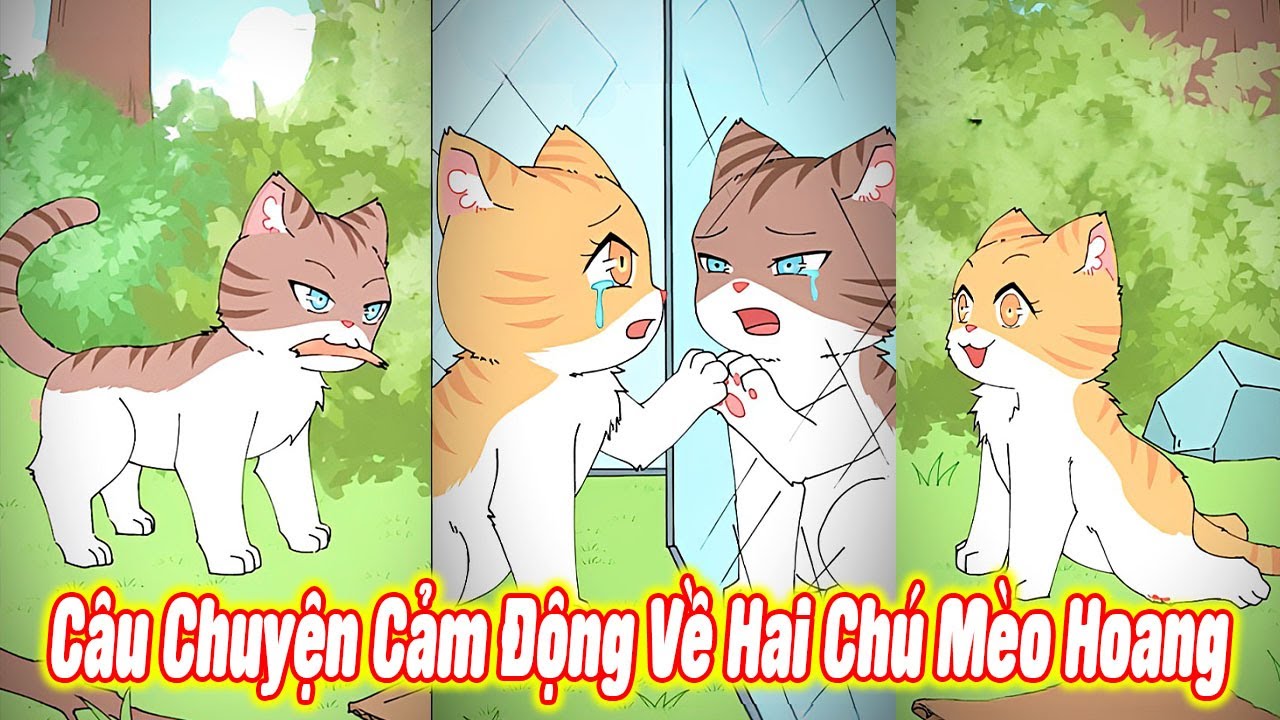 😭 Câu Chuyện Cảm Động Về Hai Chú Mèo Hoang #thúcưng #vậtnuôi #funny #pets #cat #cute #hoathinh