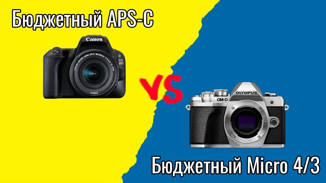 Canon 200D vs Olympus OM-D E-M10 mark III: полевые тесты