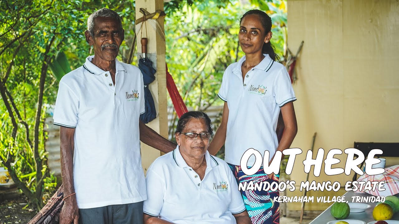 Visit to Nandoo's Mango Estate, Kernaham Village, Trinidad. #DomesticTourism